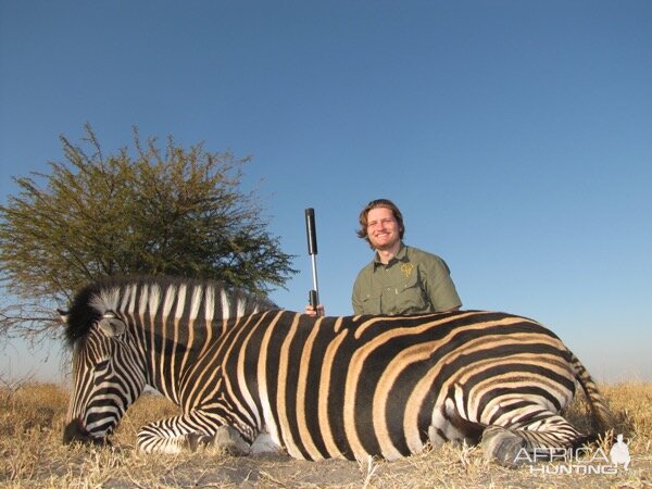 Burchell's Plain Zebra Hunting South Africa