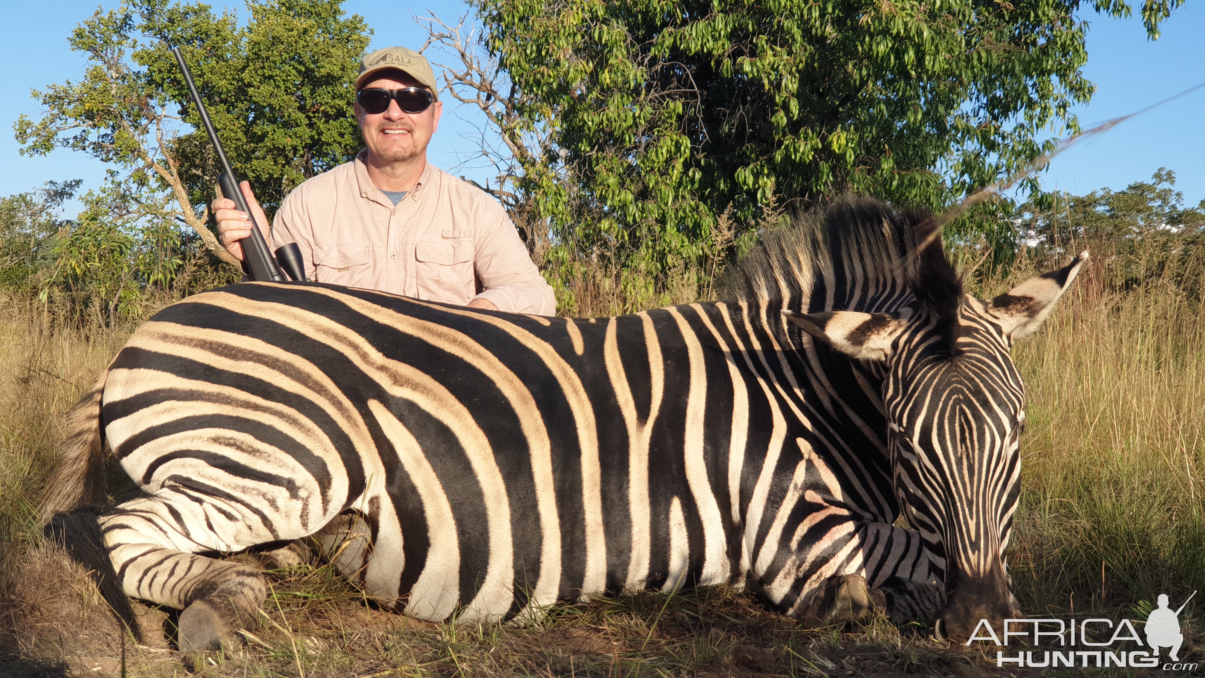 Burchell's Plain Zebra Hunting South Africa