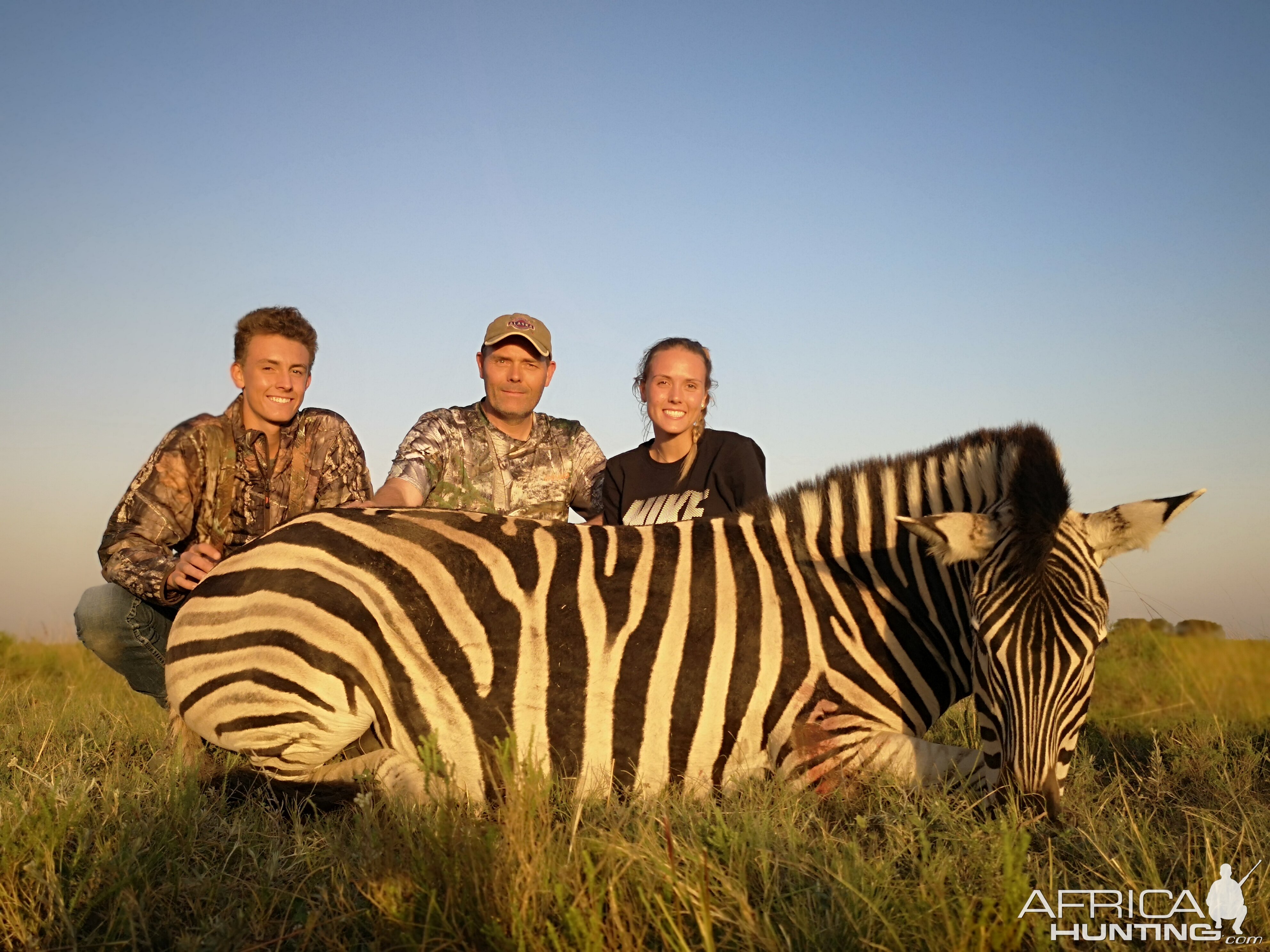 Burchell's Plain Zebra Hunting South Africa