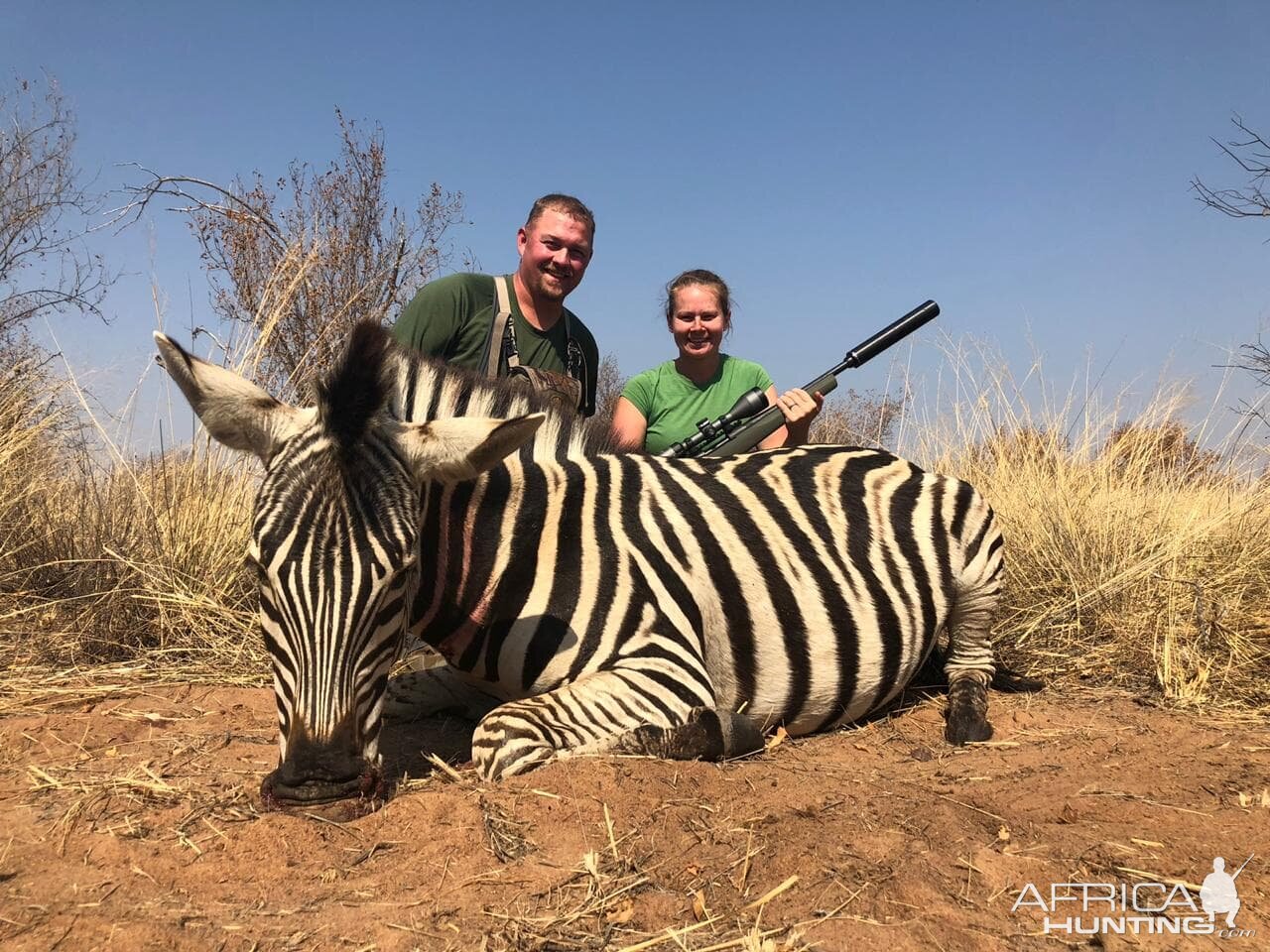 Burchell's Plain Zebra Hunting South Africa