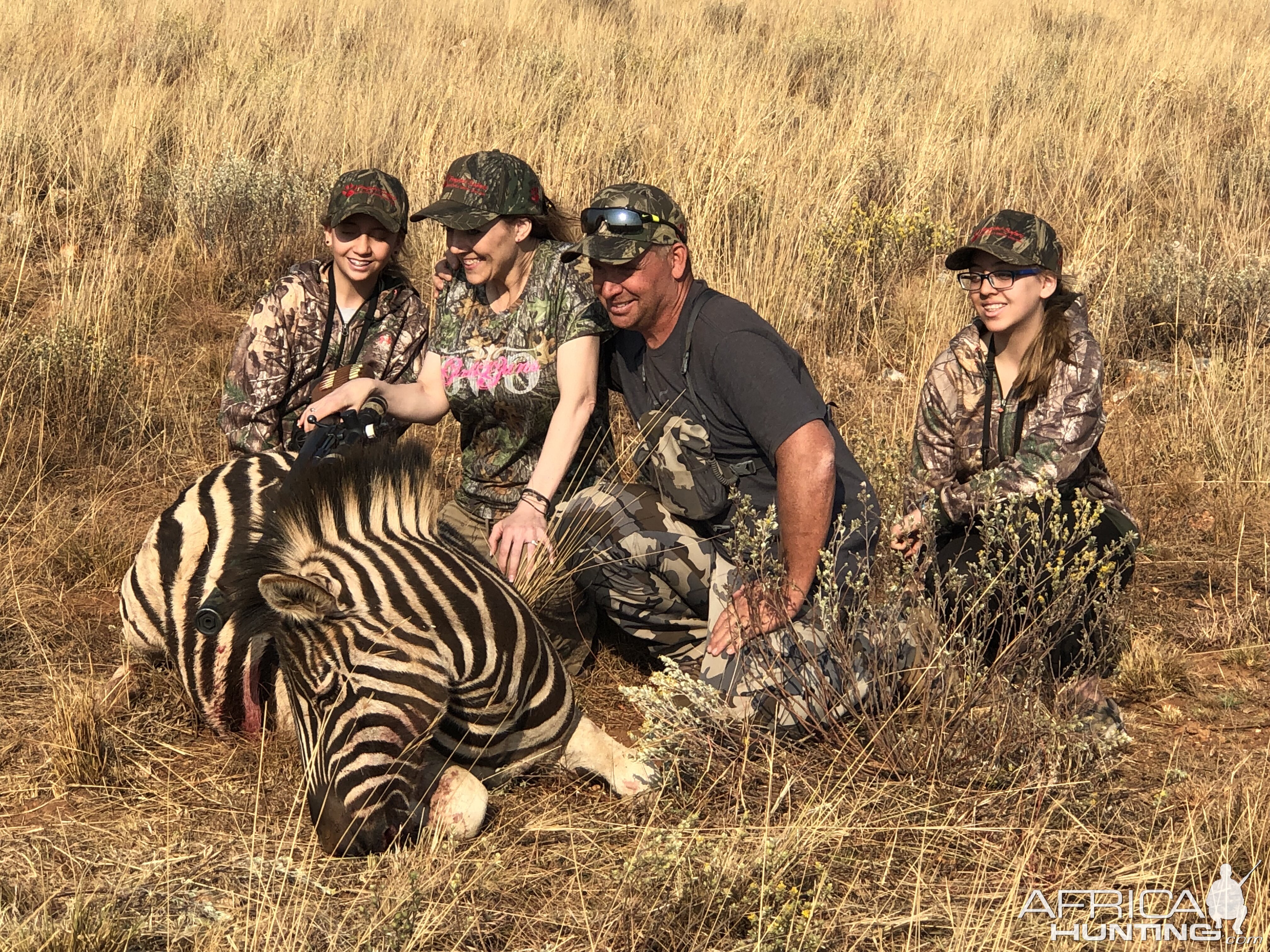 Burchell's Plain Zebra Hunting South Africa