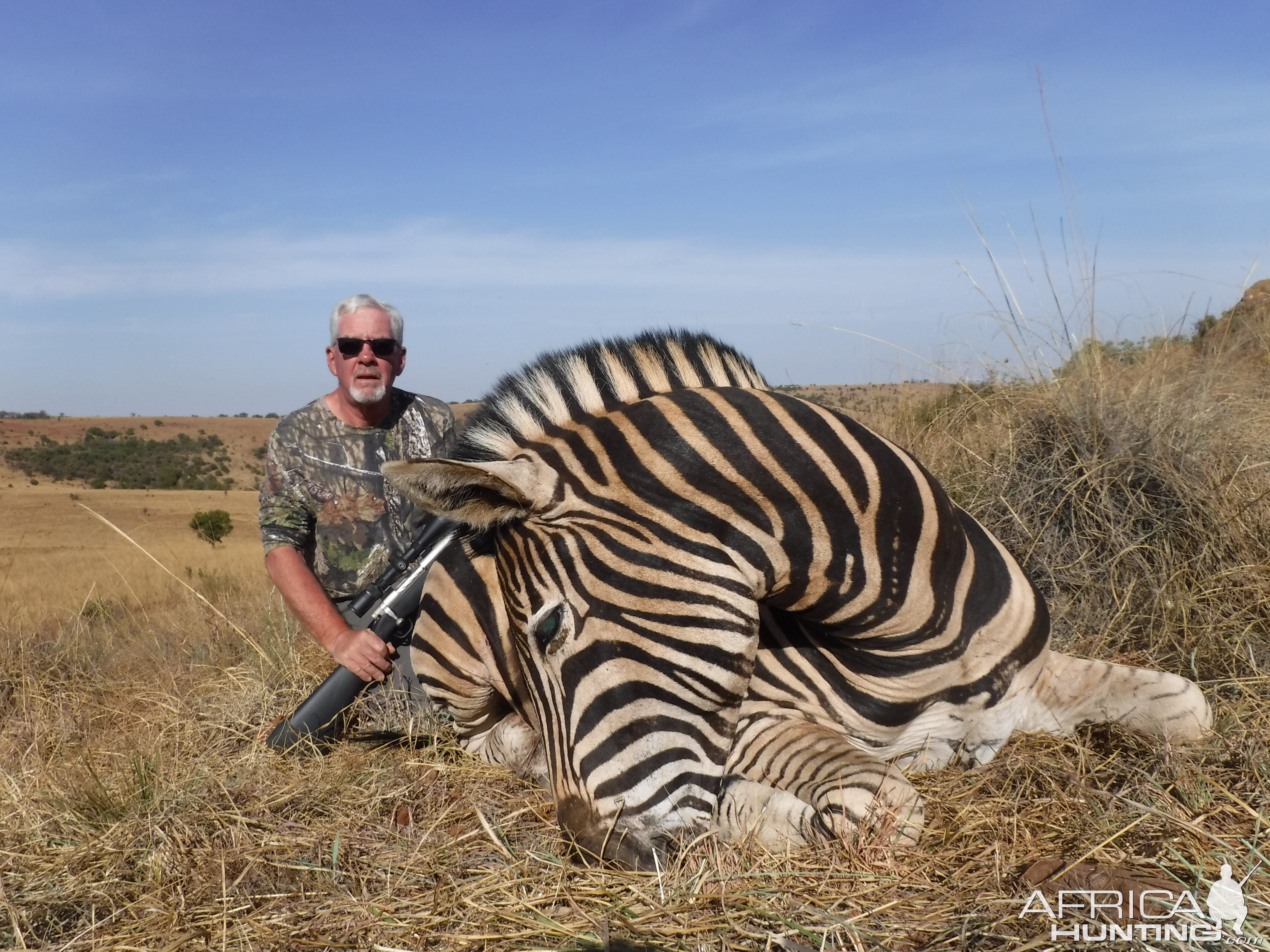 Burchell's Plain Zebra Hunting South Africa