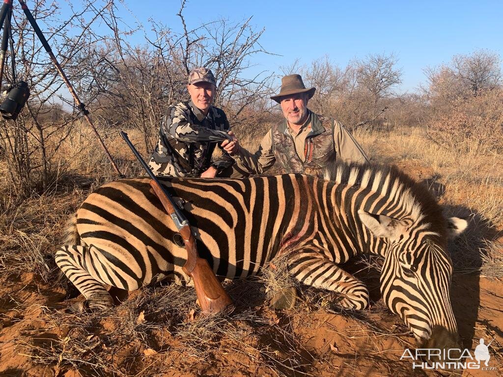 Burchell's Plain Zebra Hunting South Africa