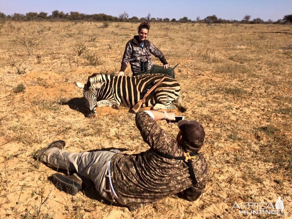 Burchell's Plain Zebra Hunting