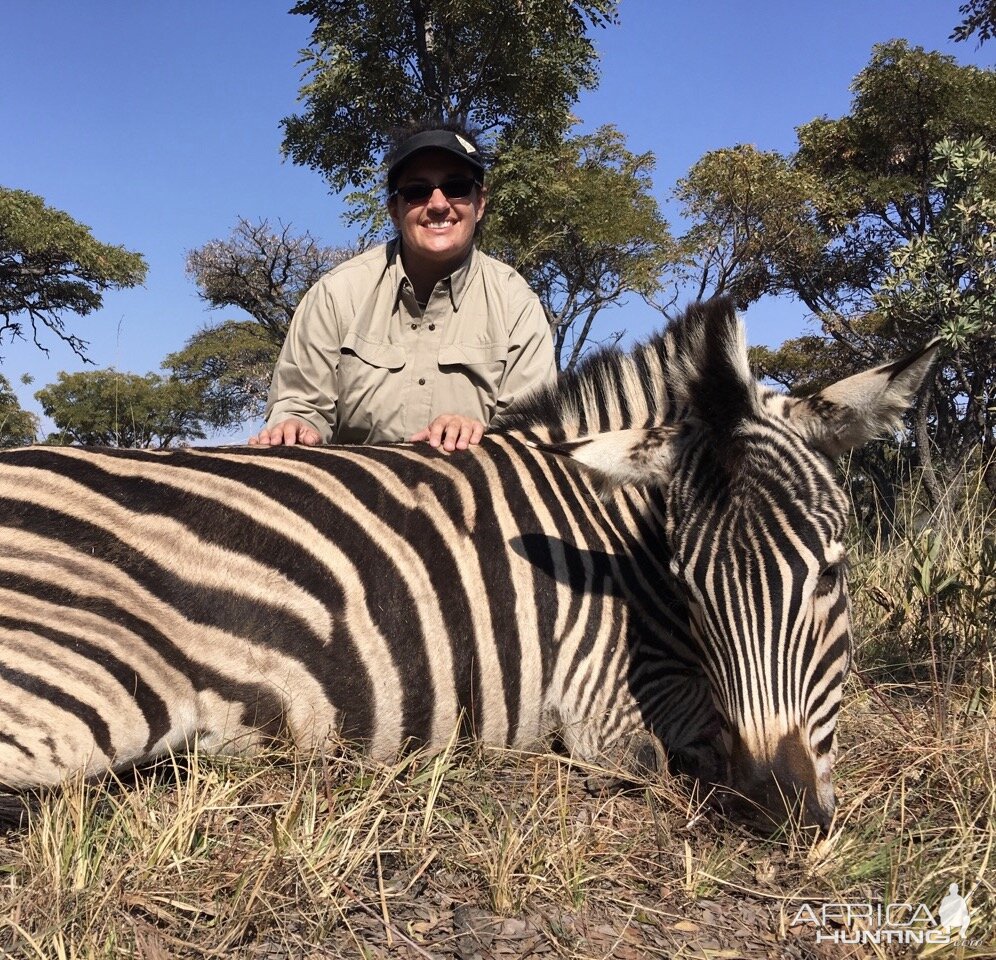 Burchell's Plain Zebra Hunting