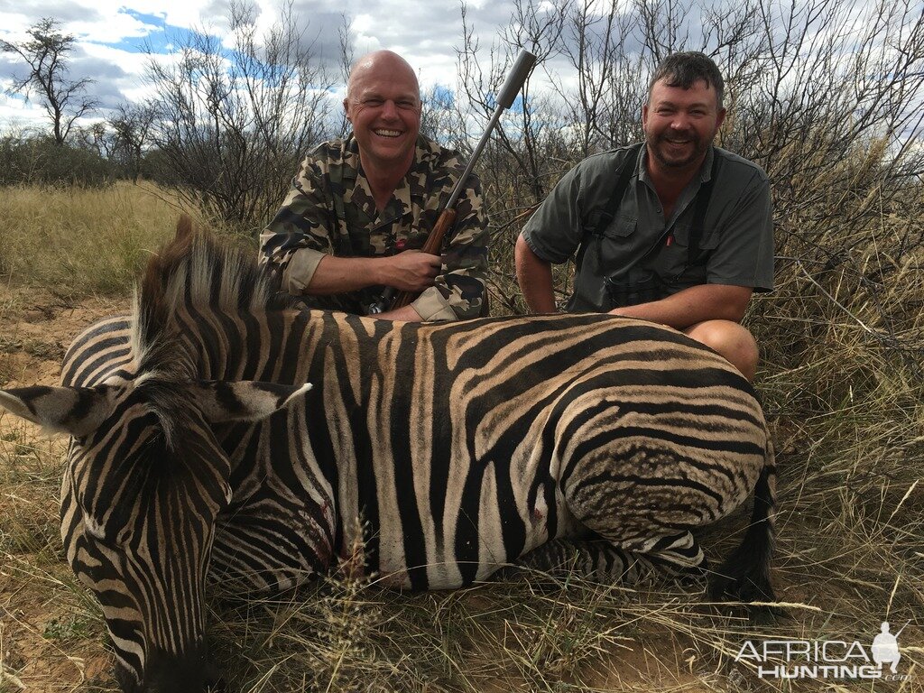 Burchell's Plain Zebra South Africa Hunt