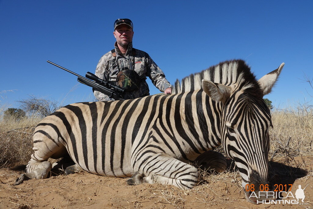 Burchell's Plain Zebra South Africa Hunting