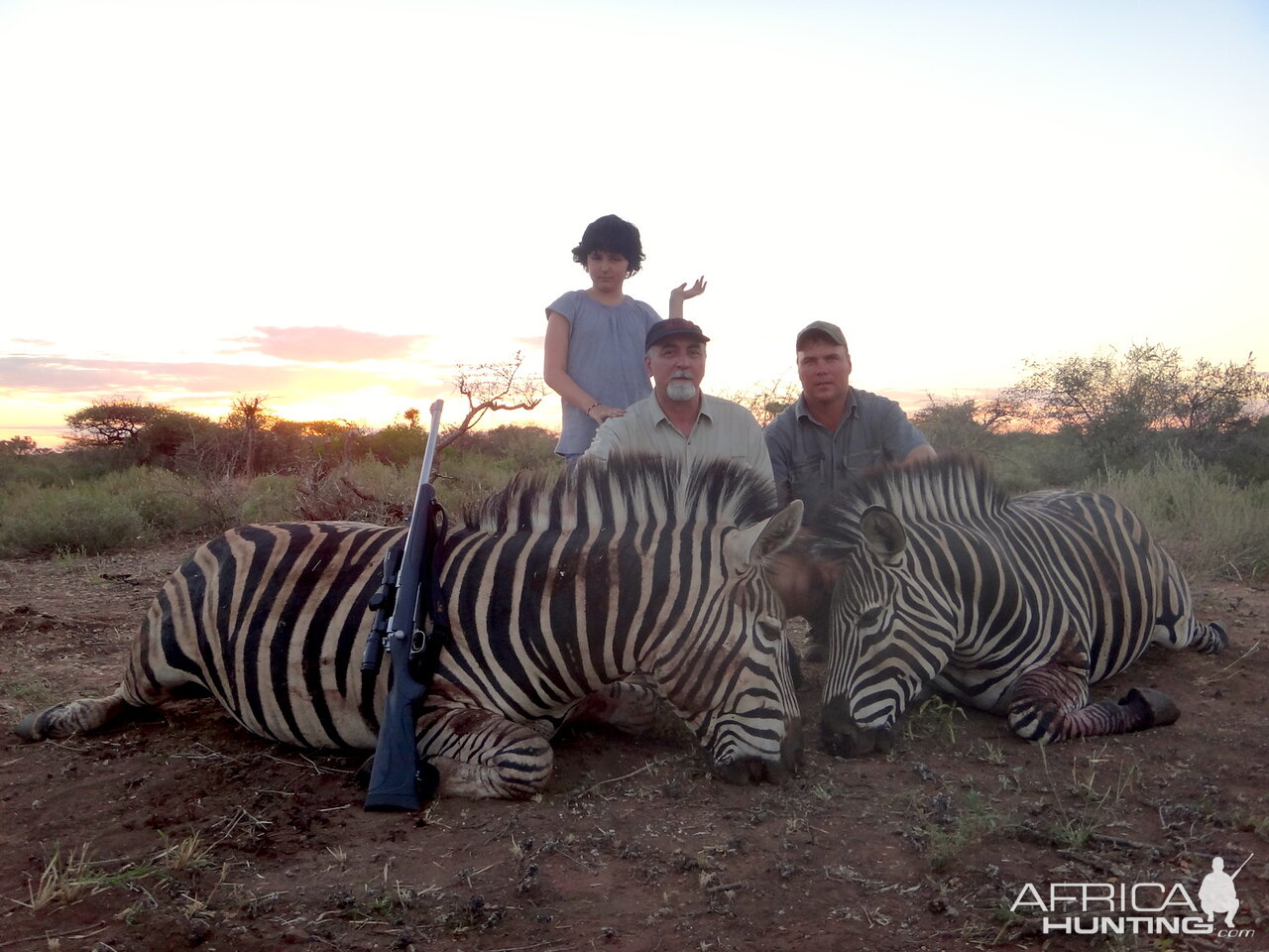 Burchell's Plains Zebra Hunt