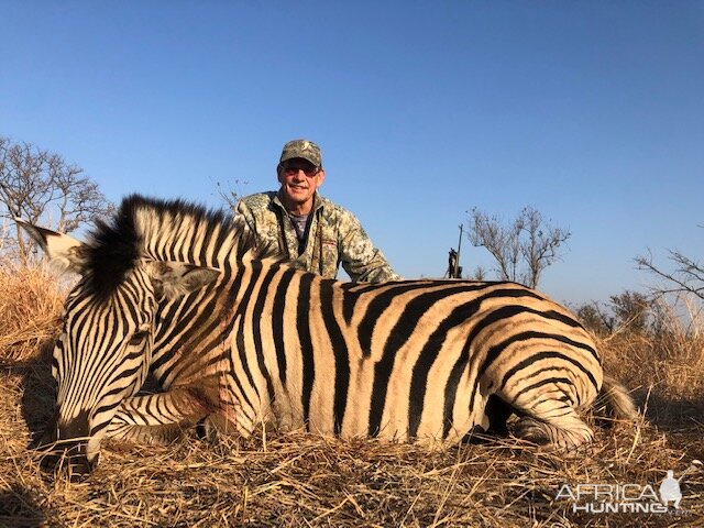 Burchell's Plains Zebra Hunting Matetsi Zimbabwe