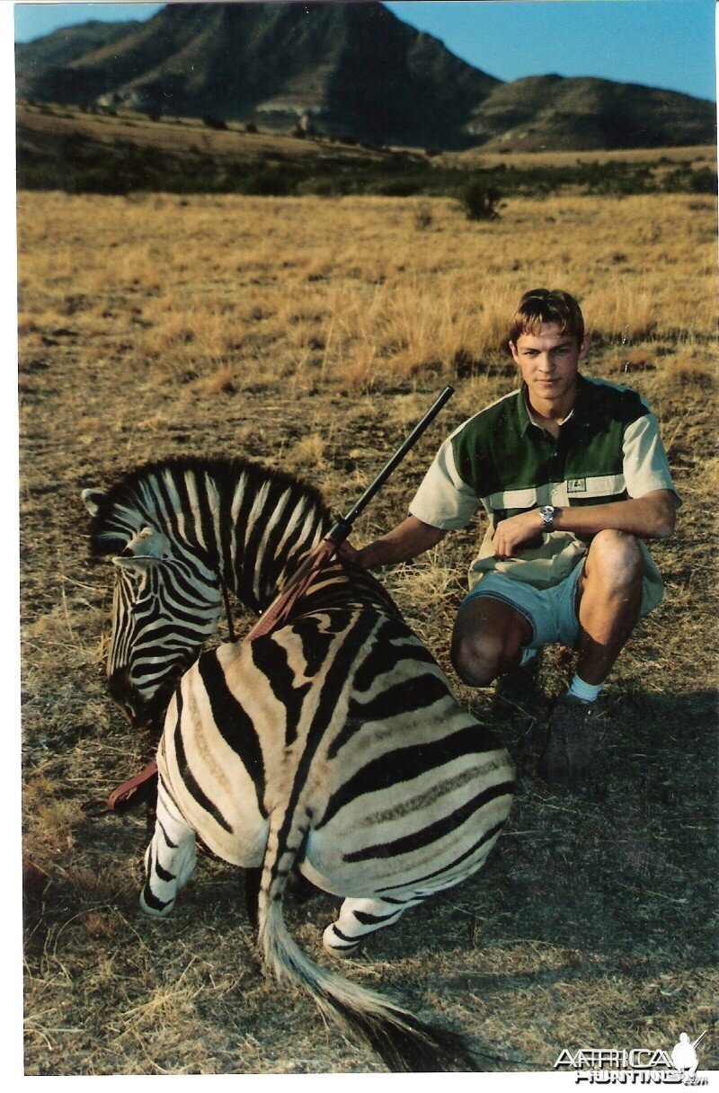 Burchell's Zebra hunt