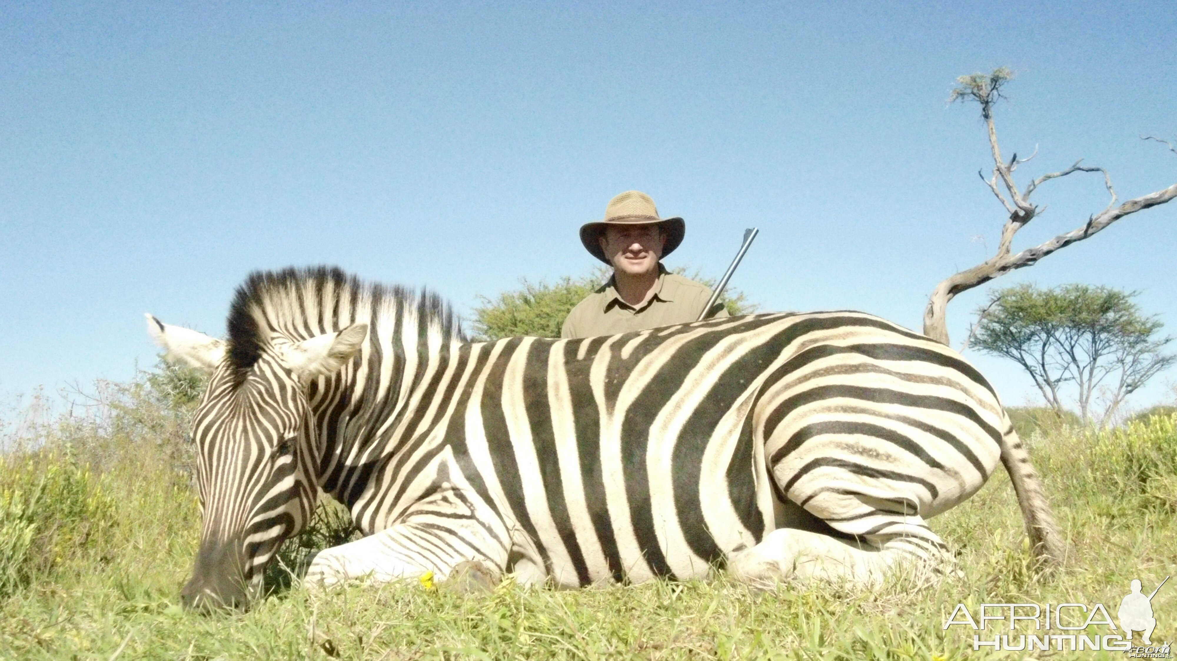 Burchell's Zebra hunted with Ozondjahe Hunting Safaris in Namibia