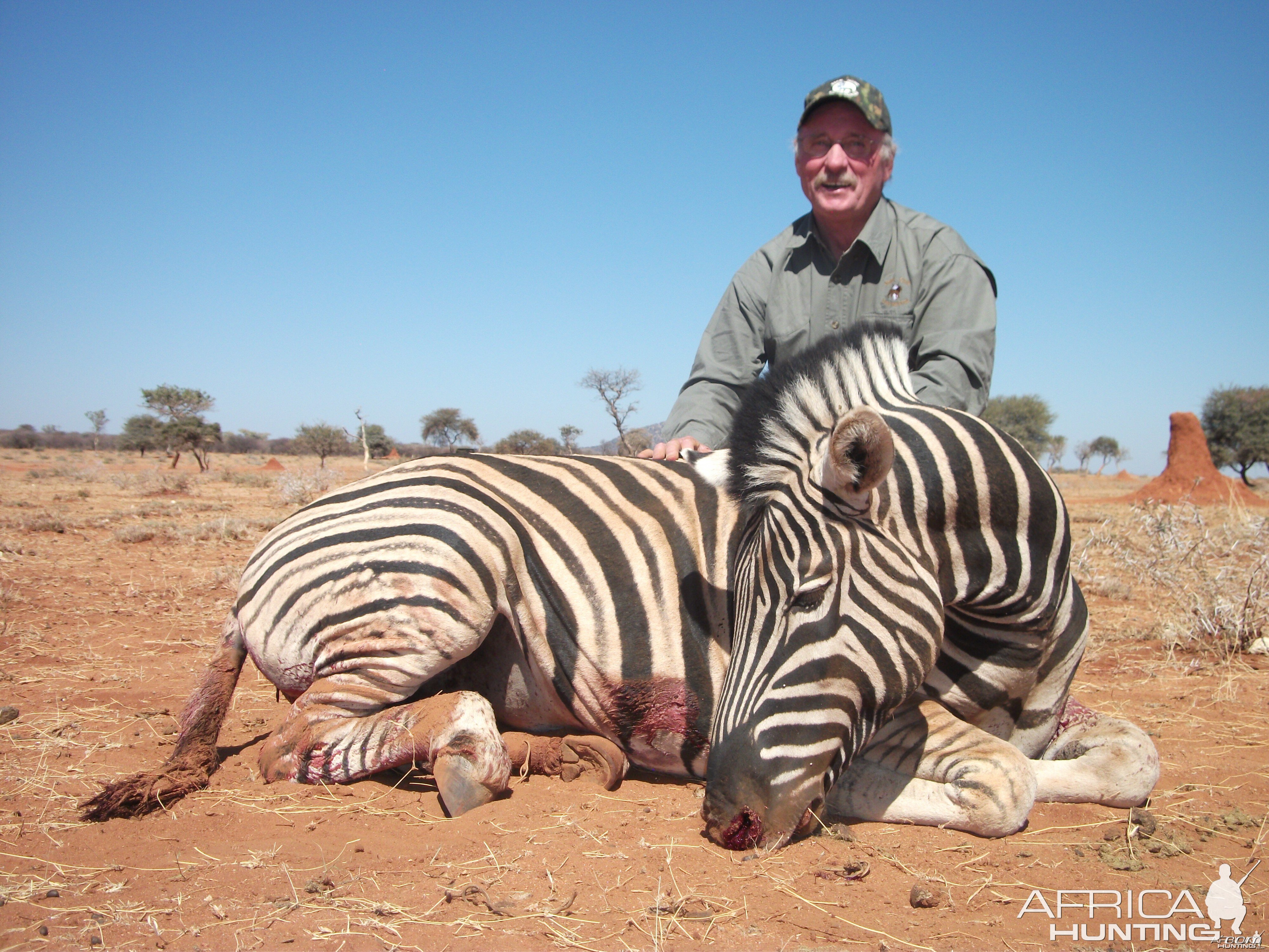 Burchell's Zebra hunted with Ozondjahe Hunting Safaris in Namibia