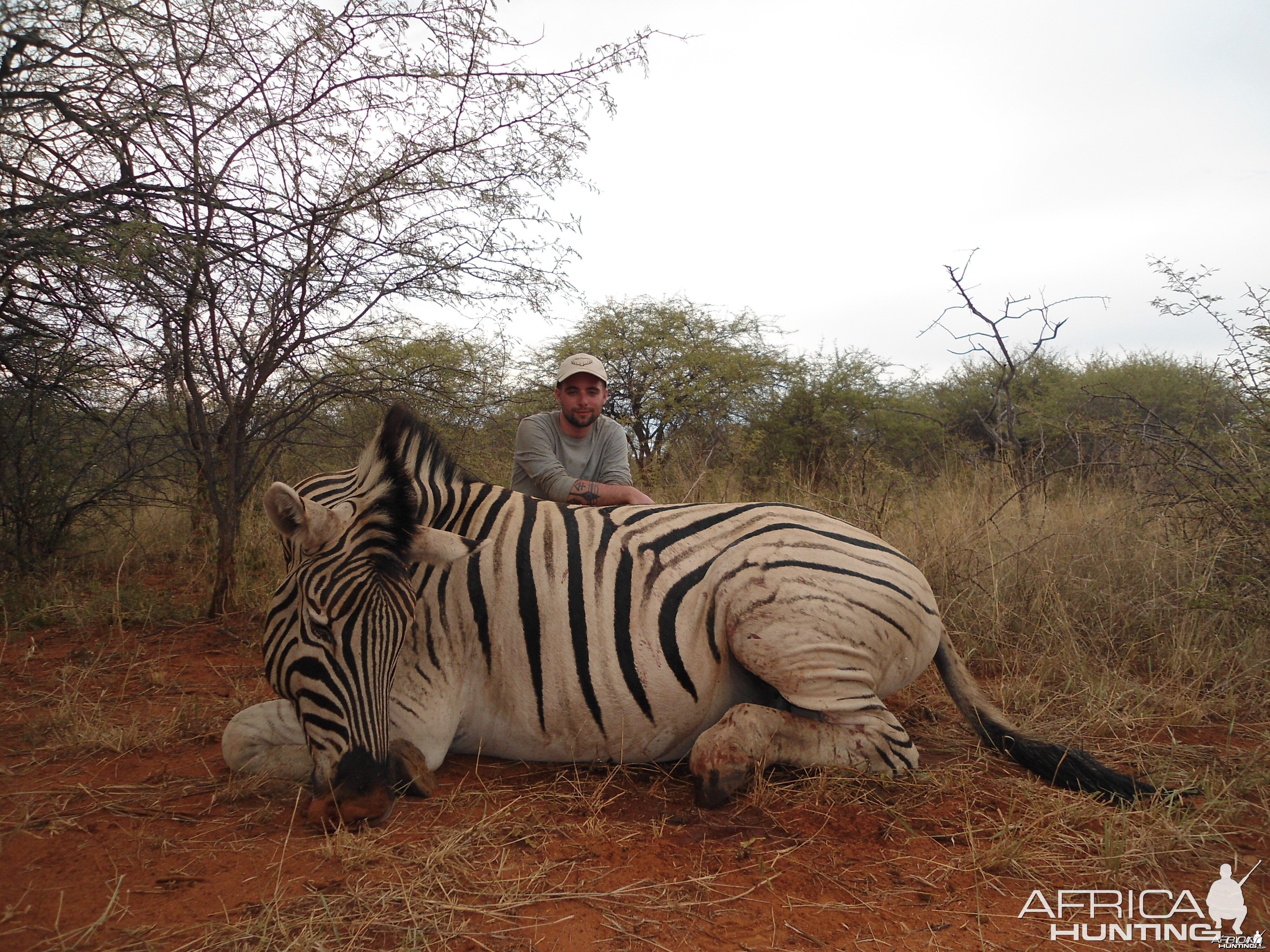 Burchell's Zebra hunted with Ozondjahe Hunting Safaris in Namibia