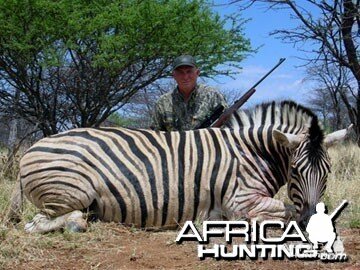 Burchell's Zebra (Plain Zebra) Namibia