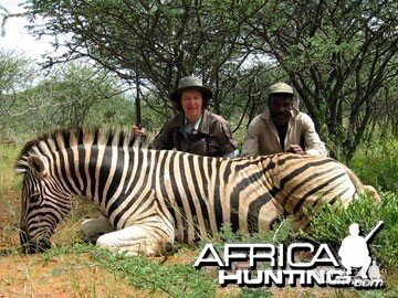 Burchell's Zebra (Plain Zebra) Namibia