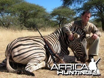 Burchell's Zebra (Plain Zebra) Namibia