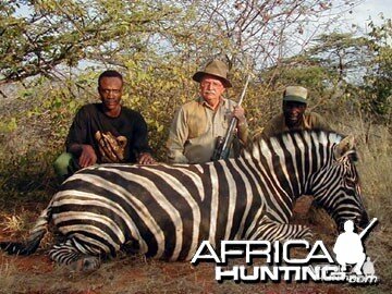 Burchell's Zebra (Plain Zebra) Namibia