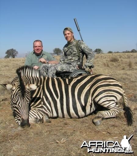 Burchell's Zebra