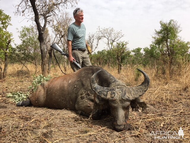 Burkina Faso Hunting Western Savannah Buffalo