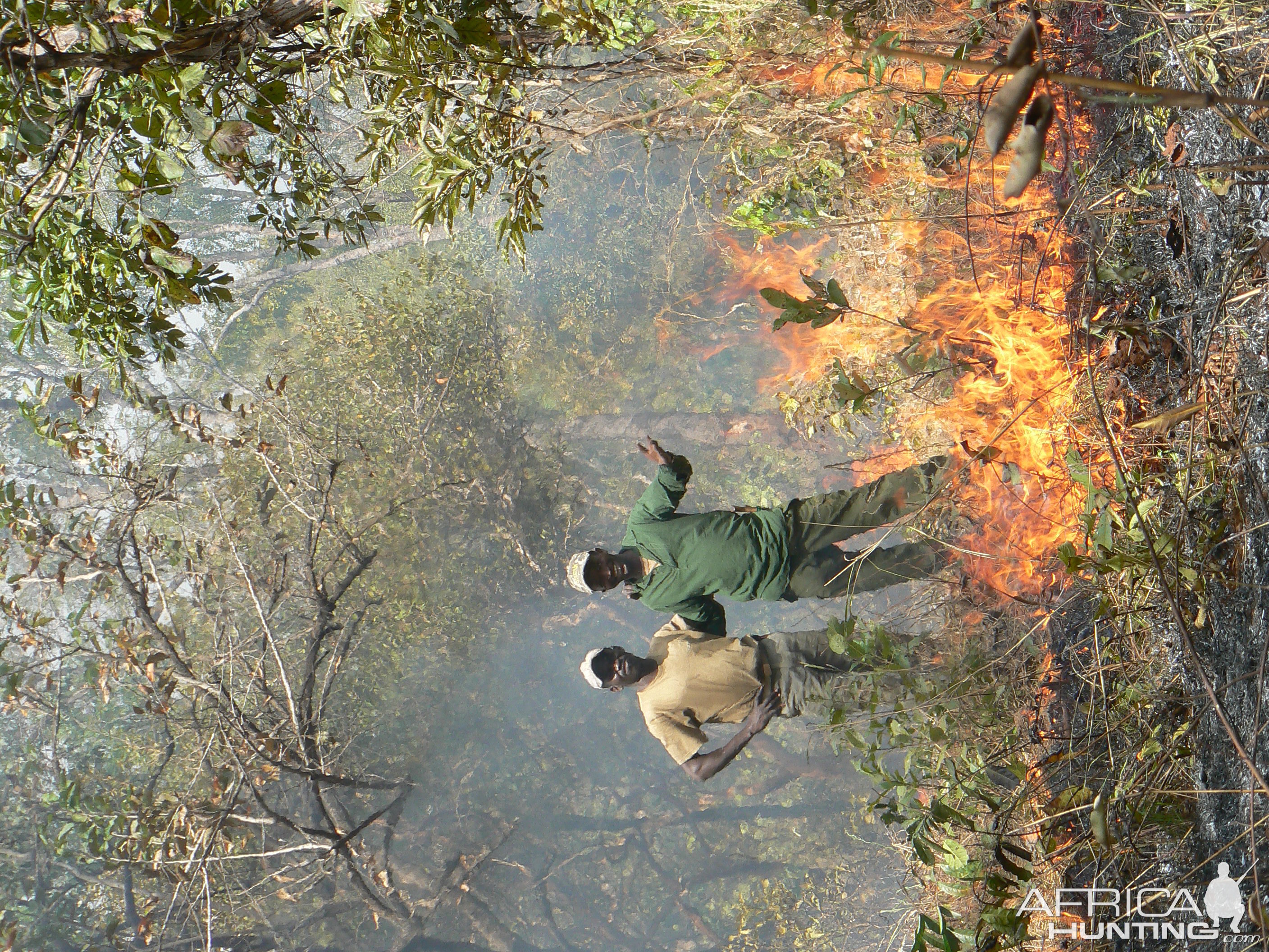 Bush fire Central African Republic