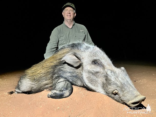 Bush Pig Hunt South Africa