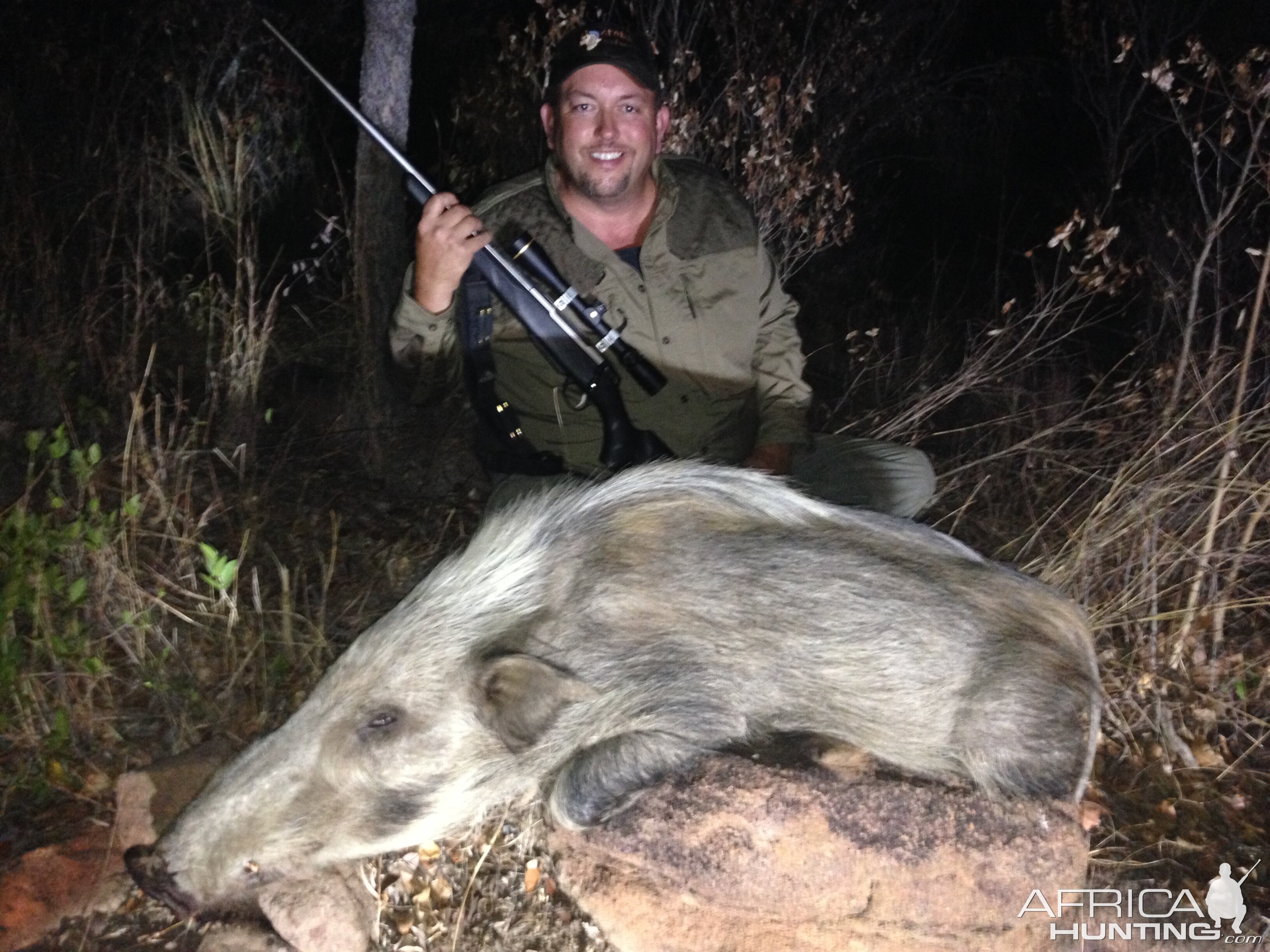 Bush Pig