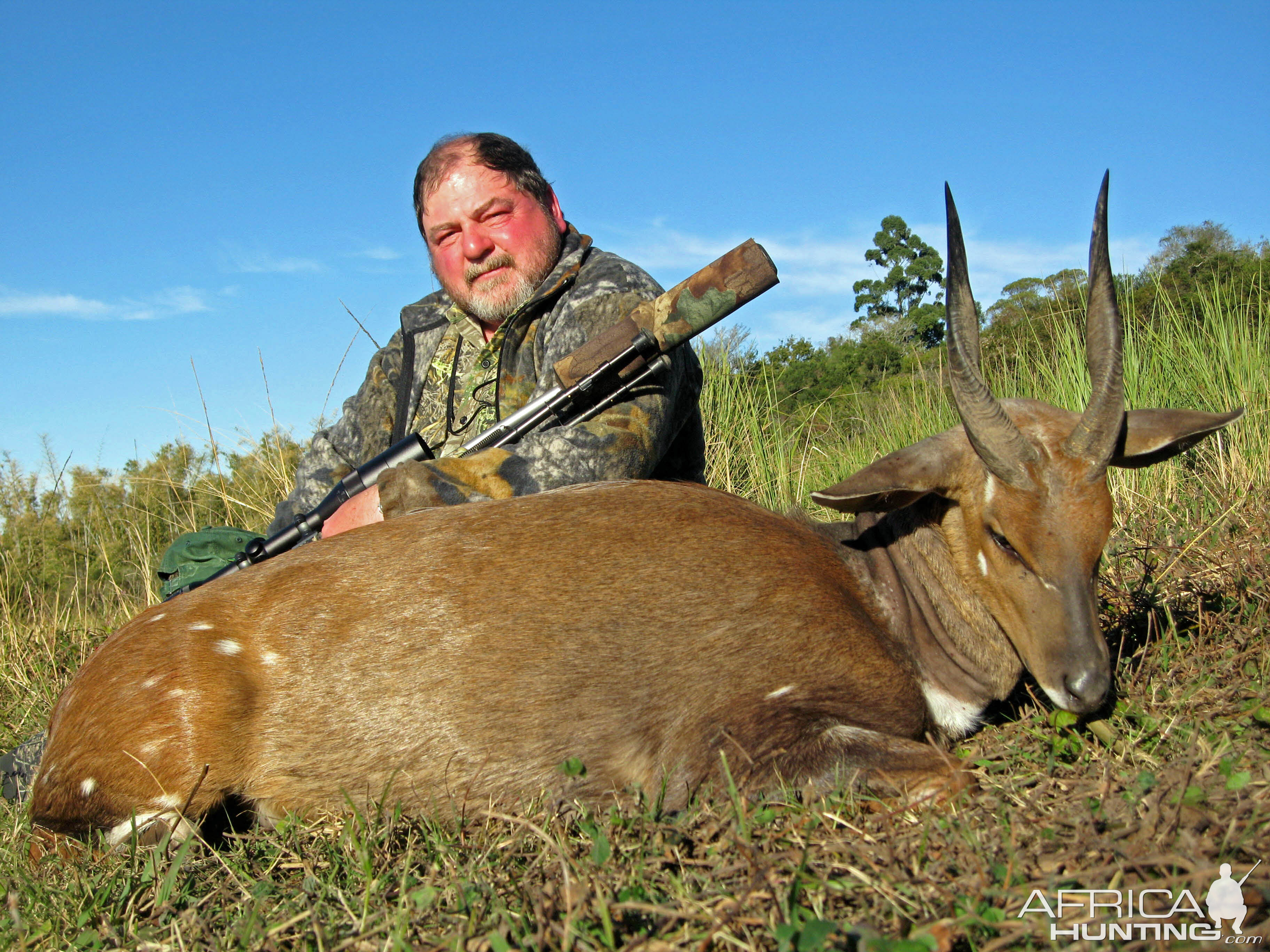 Bushbuck 1