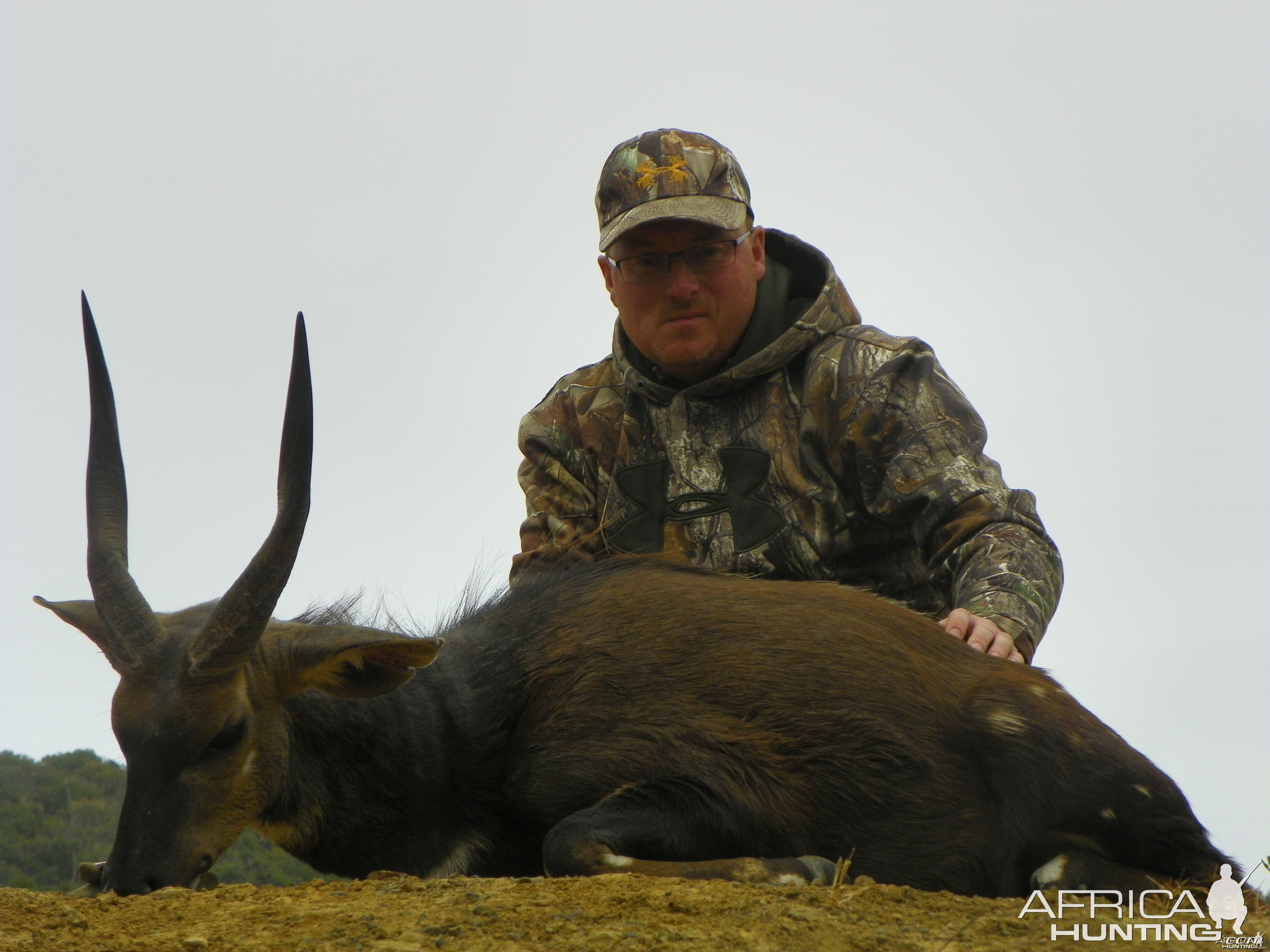 Bushbuck 2014