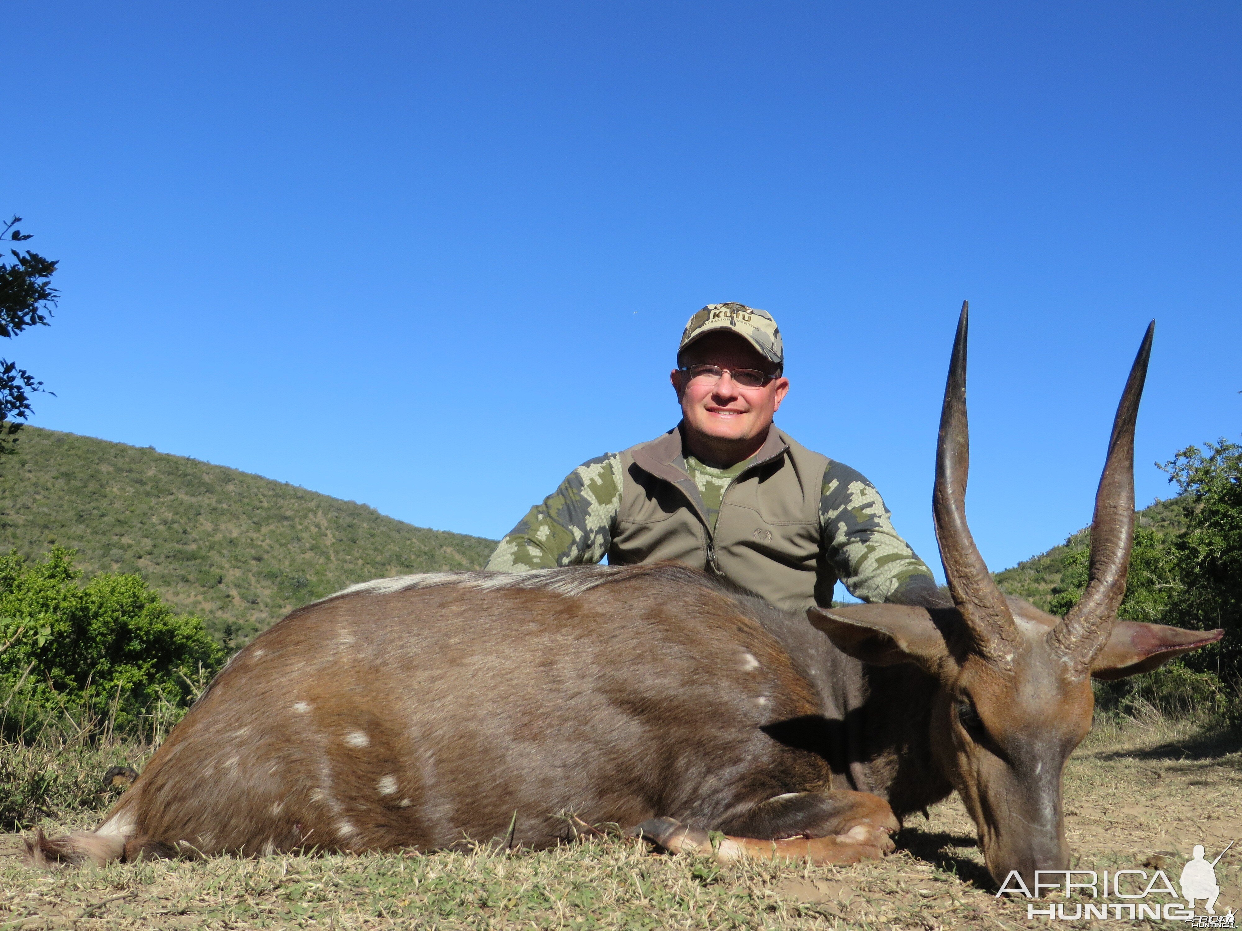 Bushbuck - 2014