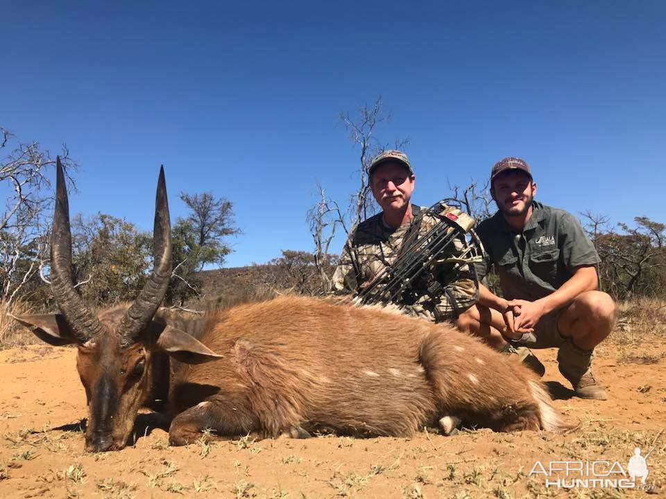 Bushbuck Bow Hunting South Africa