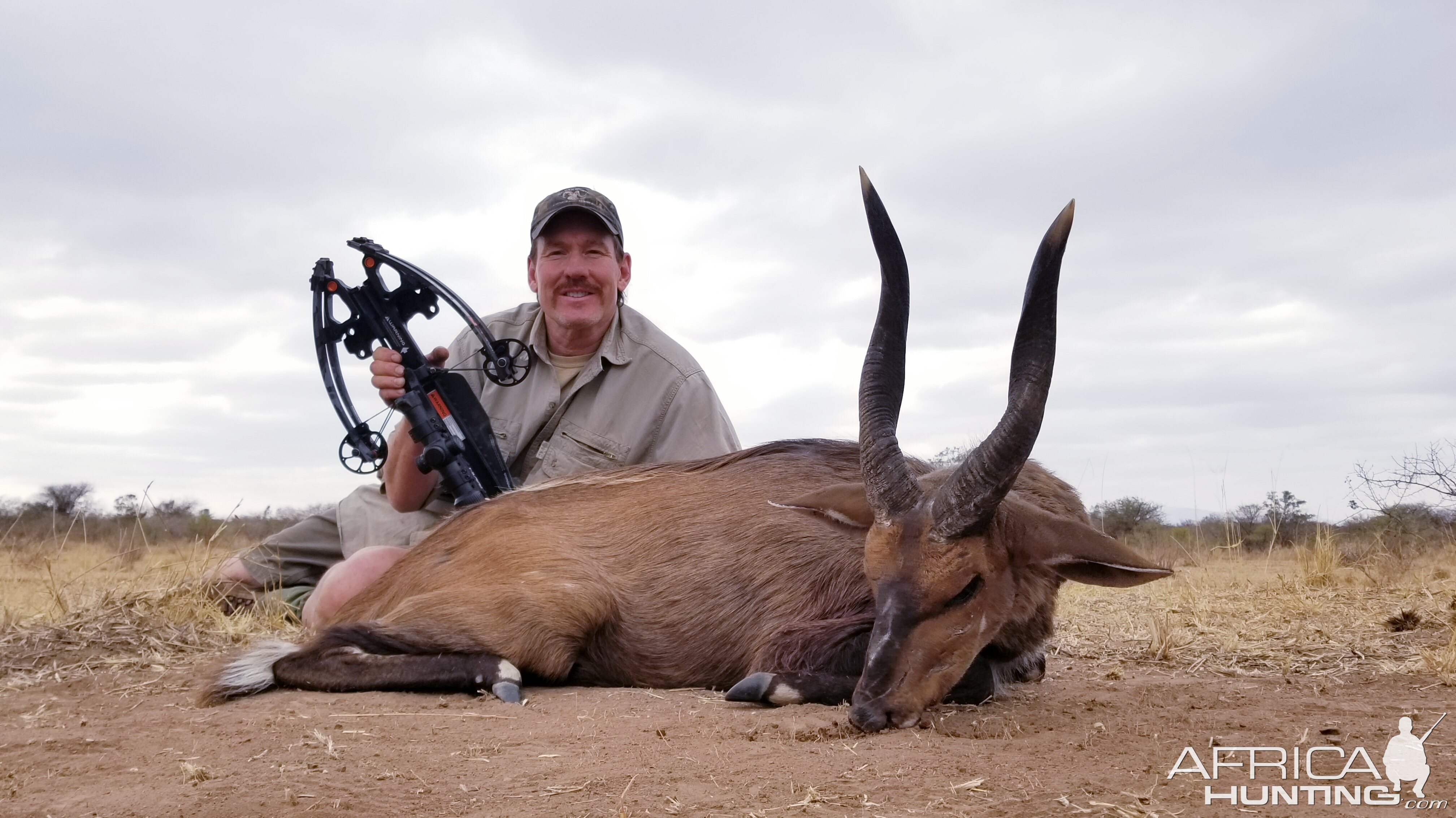 Bushbuck Crossbow