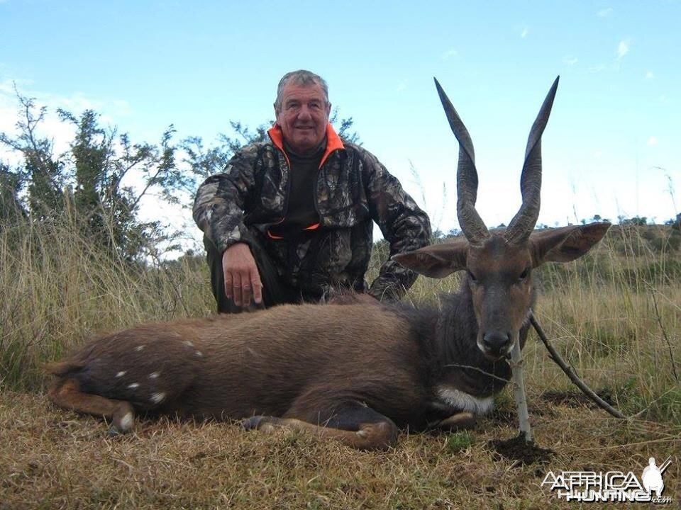 Bushbuck - Free range Mankazana Valley