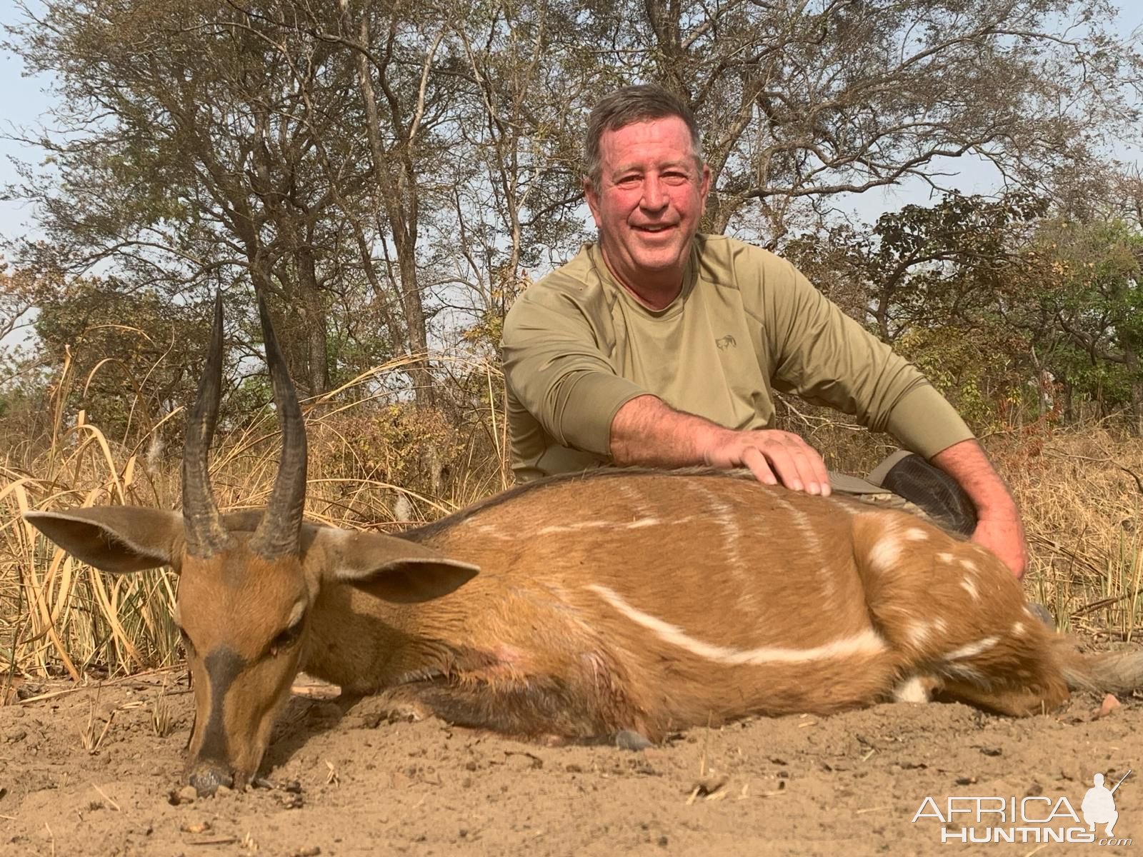 Bushbuck Hunt Cameroon