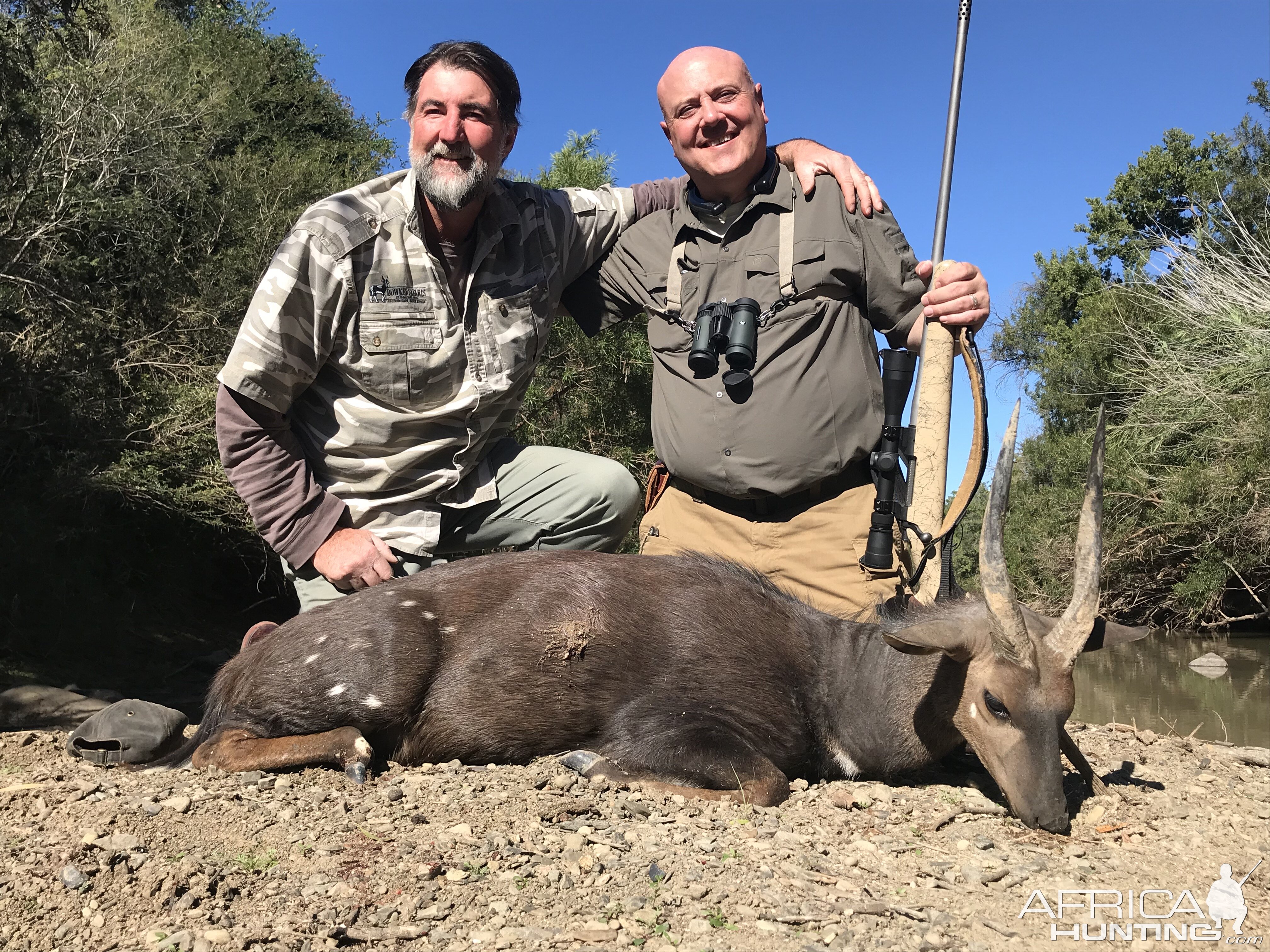 Bushbuck Hunt Eastern Cape South Africa