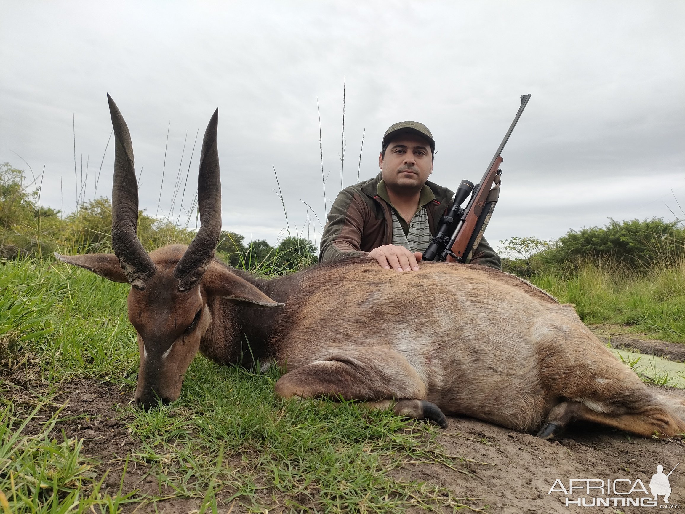 Bushbuck Hunt Eastern Cape South Africa