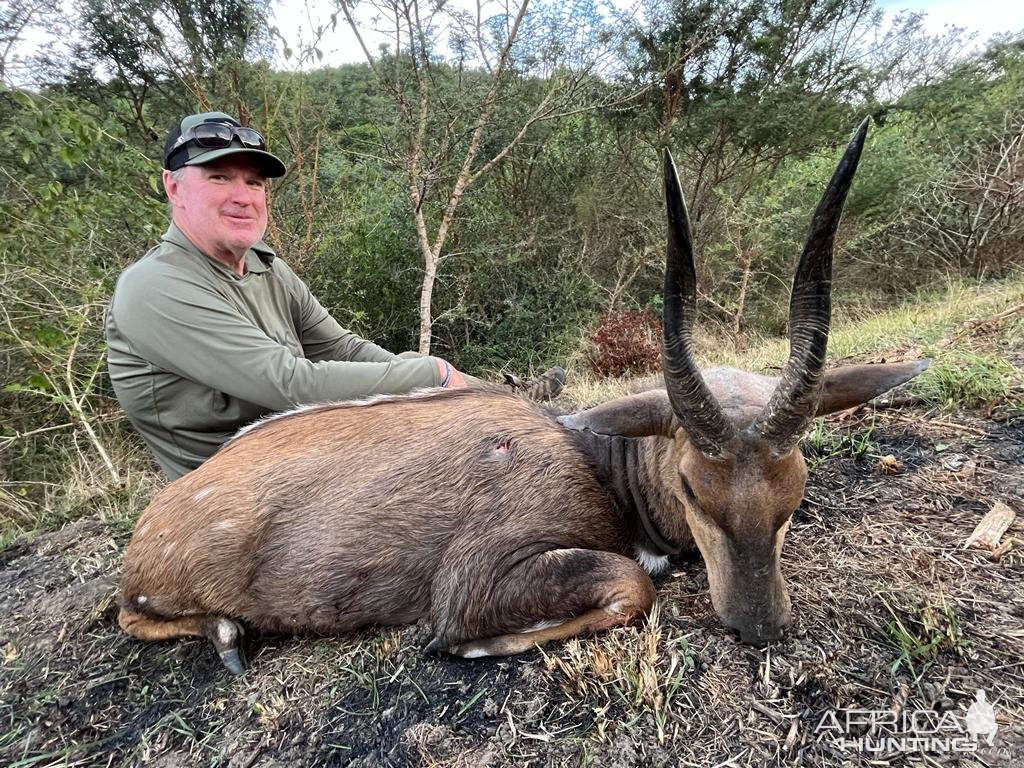 Bushbuck Hunt Eastern Cape South Africa