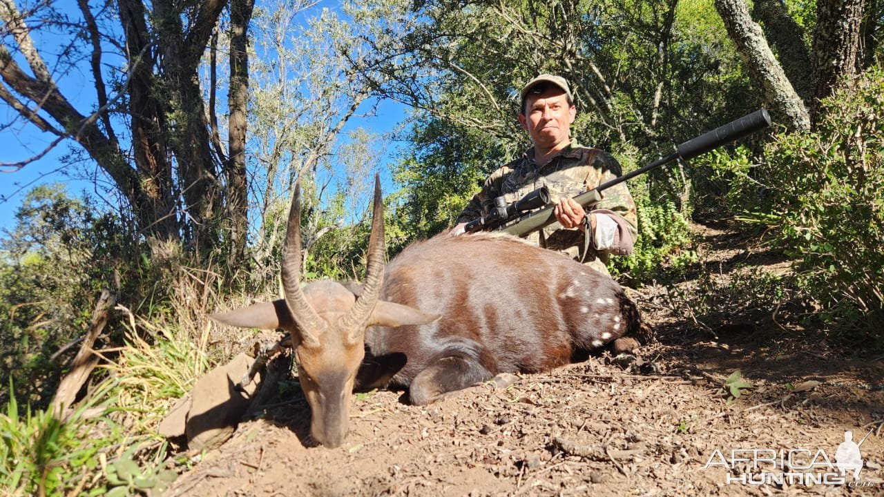 Bushbuck Hunt Eastern Cape South Africa