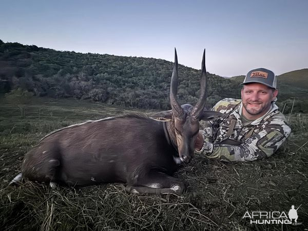 Bushbuck Hunt Eastern Cape South Africa