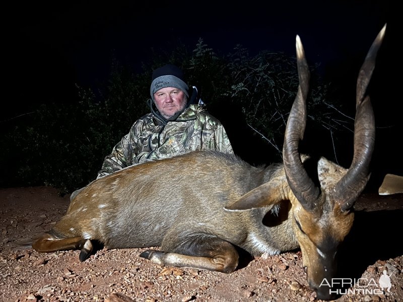 Bushbuck Hunt Eastern Cape South Africa