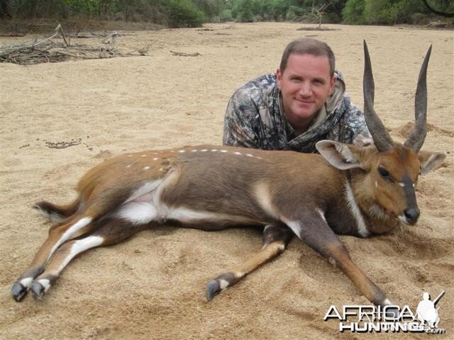 Bushbuck Hunt in Save Valley Conservancy Zimbabwe