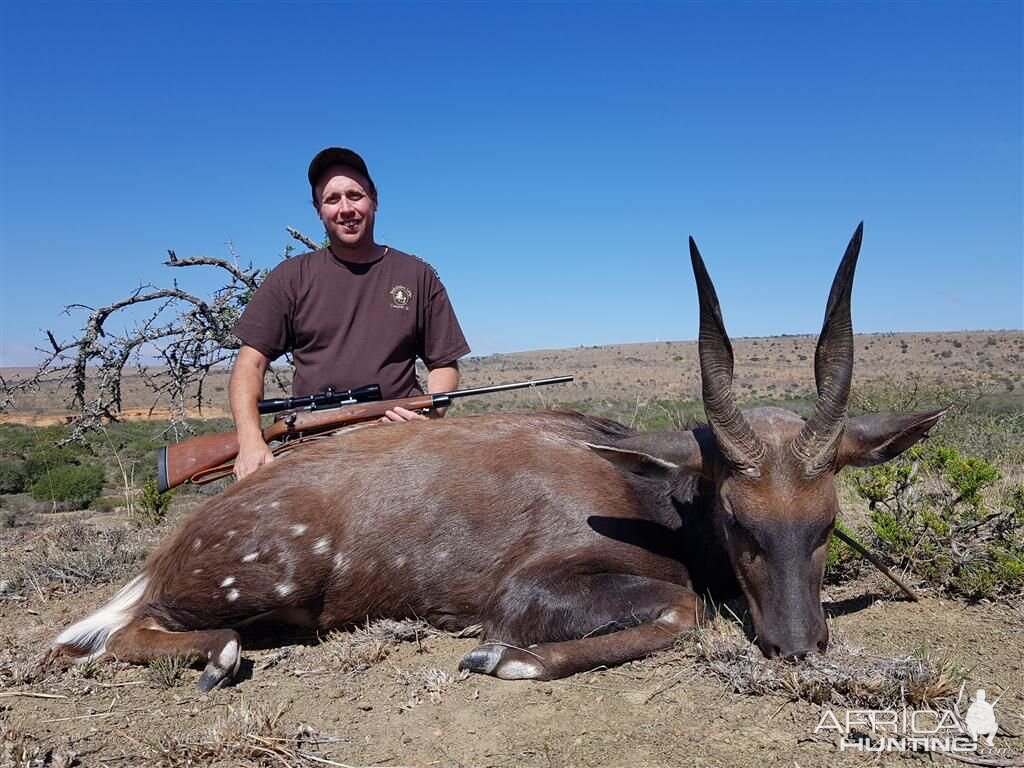 Bushbuck Hunt in South Africa