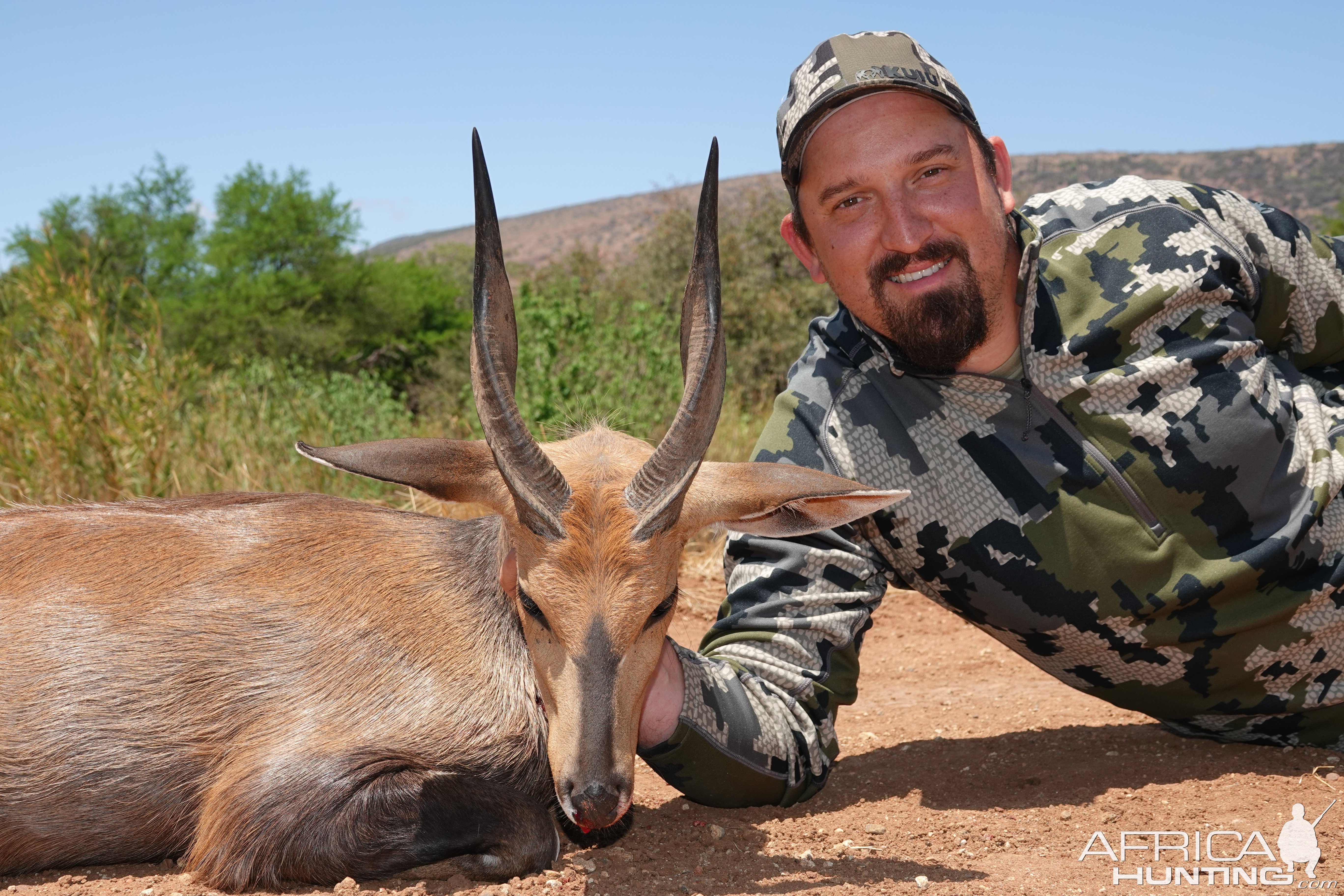 Bushbuck Hunt Limpopo South Africa