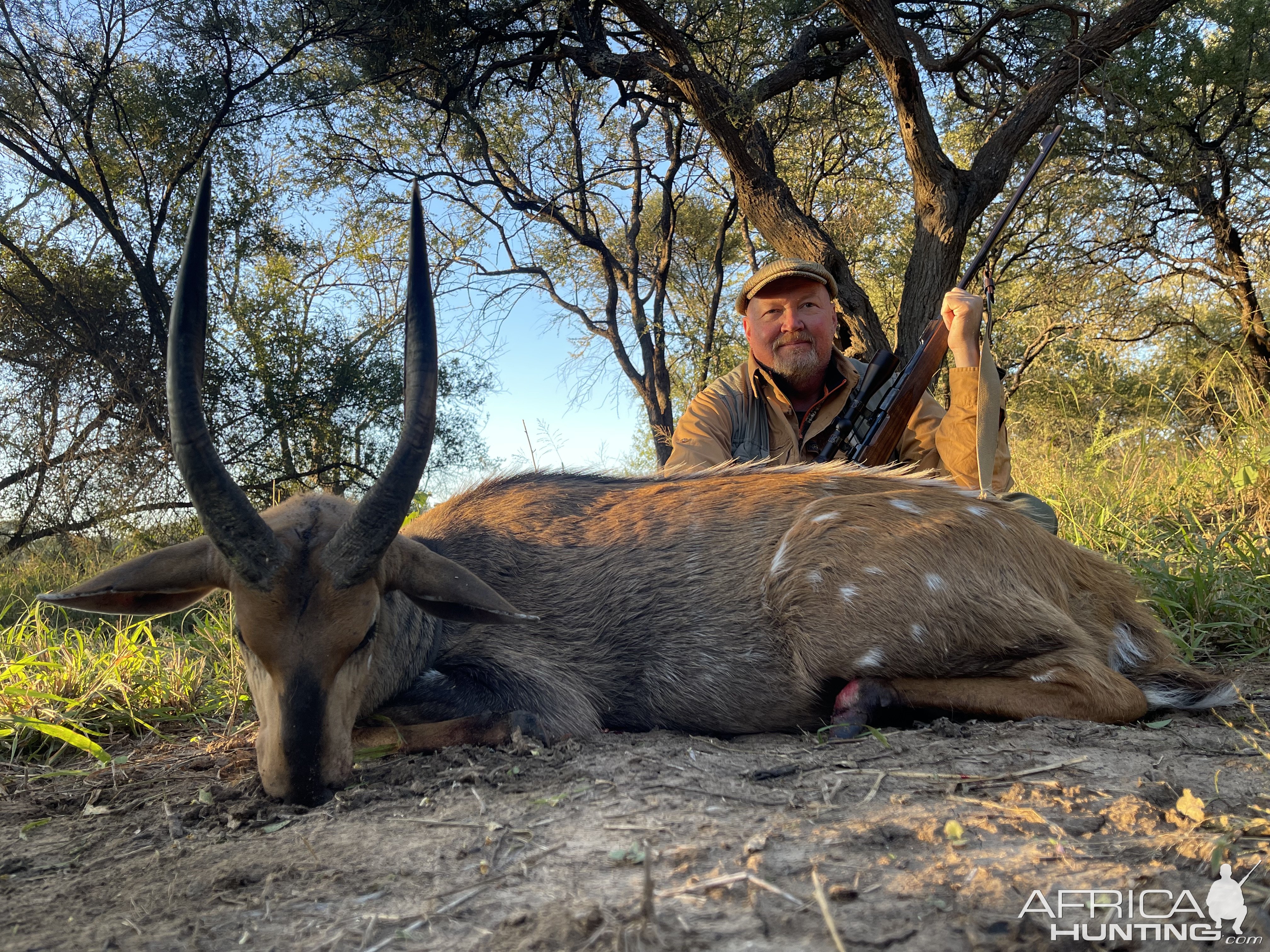 Bushbuck Hunt Limpopo South Africa