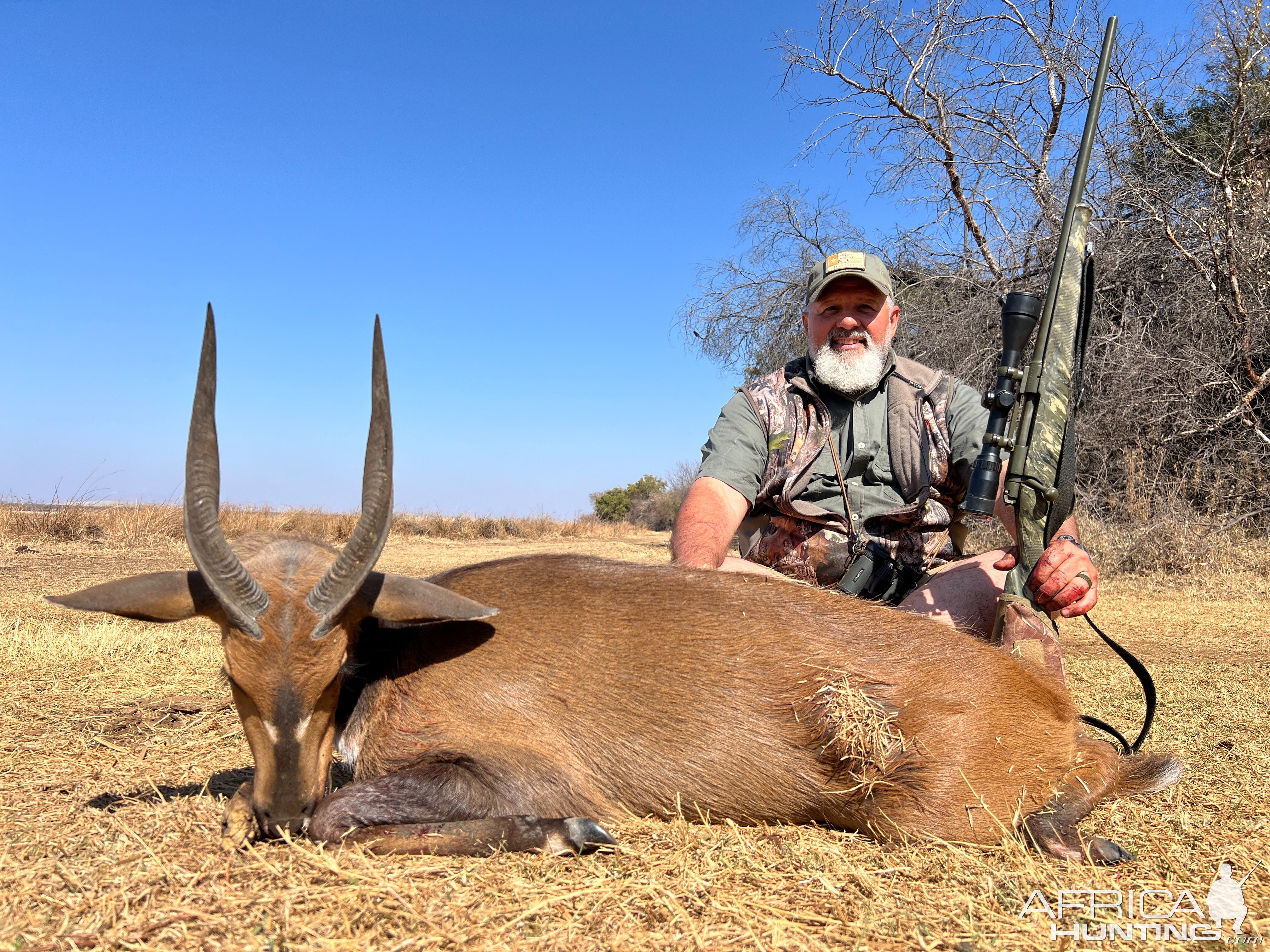 Bushbuck Hunt Limpopo South Africa