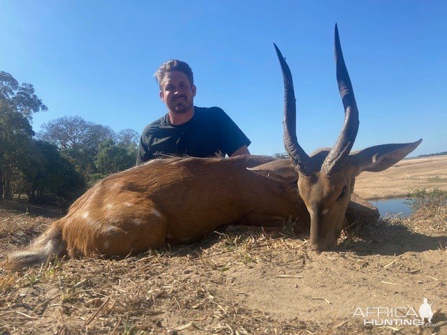 Bushbuck Hunt Mozambique