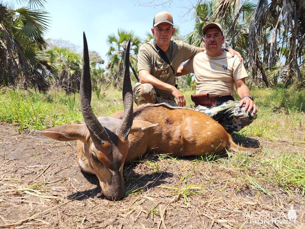 Bushbuck Hunt Mozambique