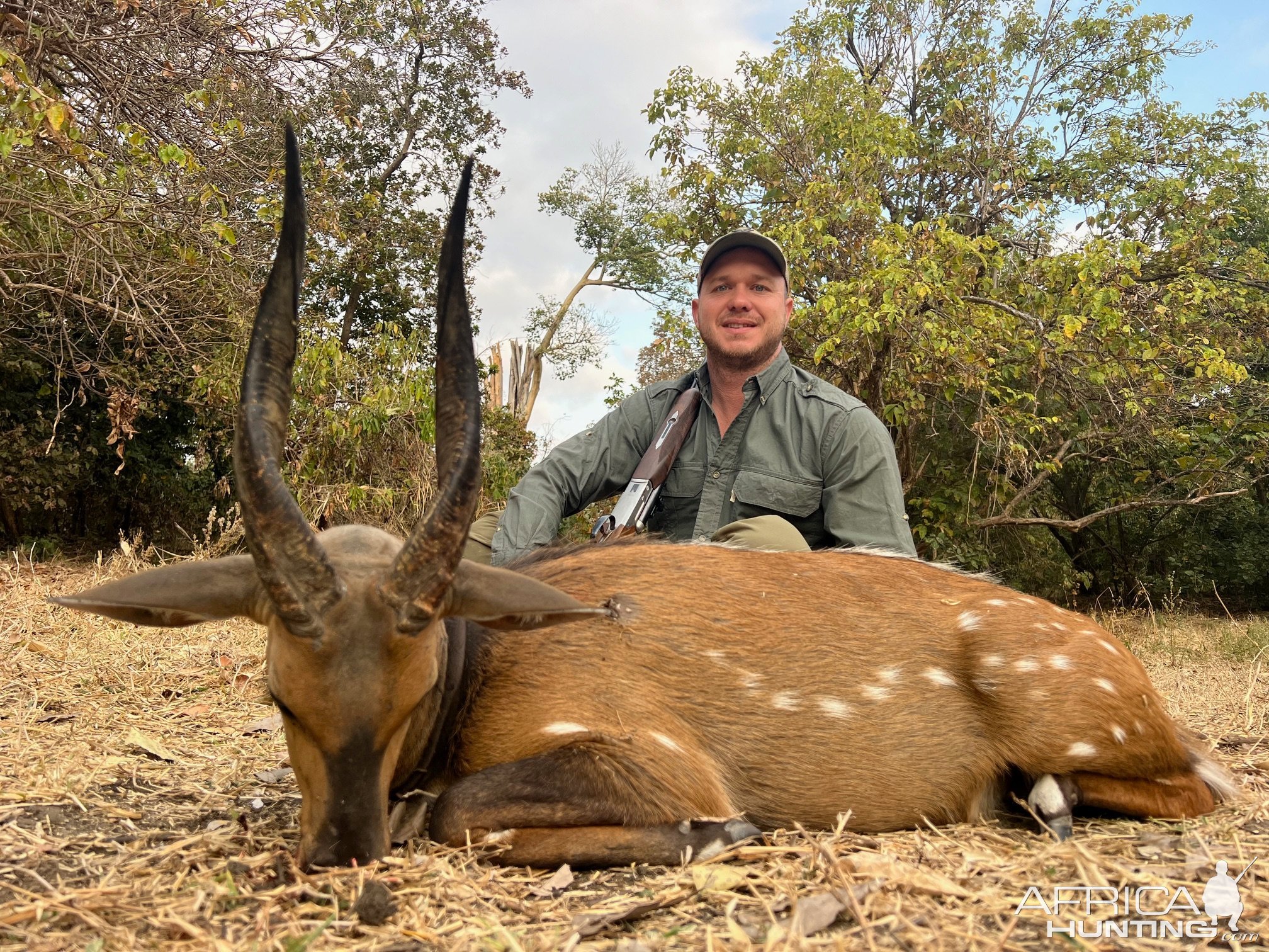 Bushbuck Hunt Niassa Mozambique