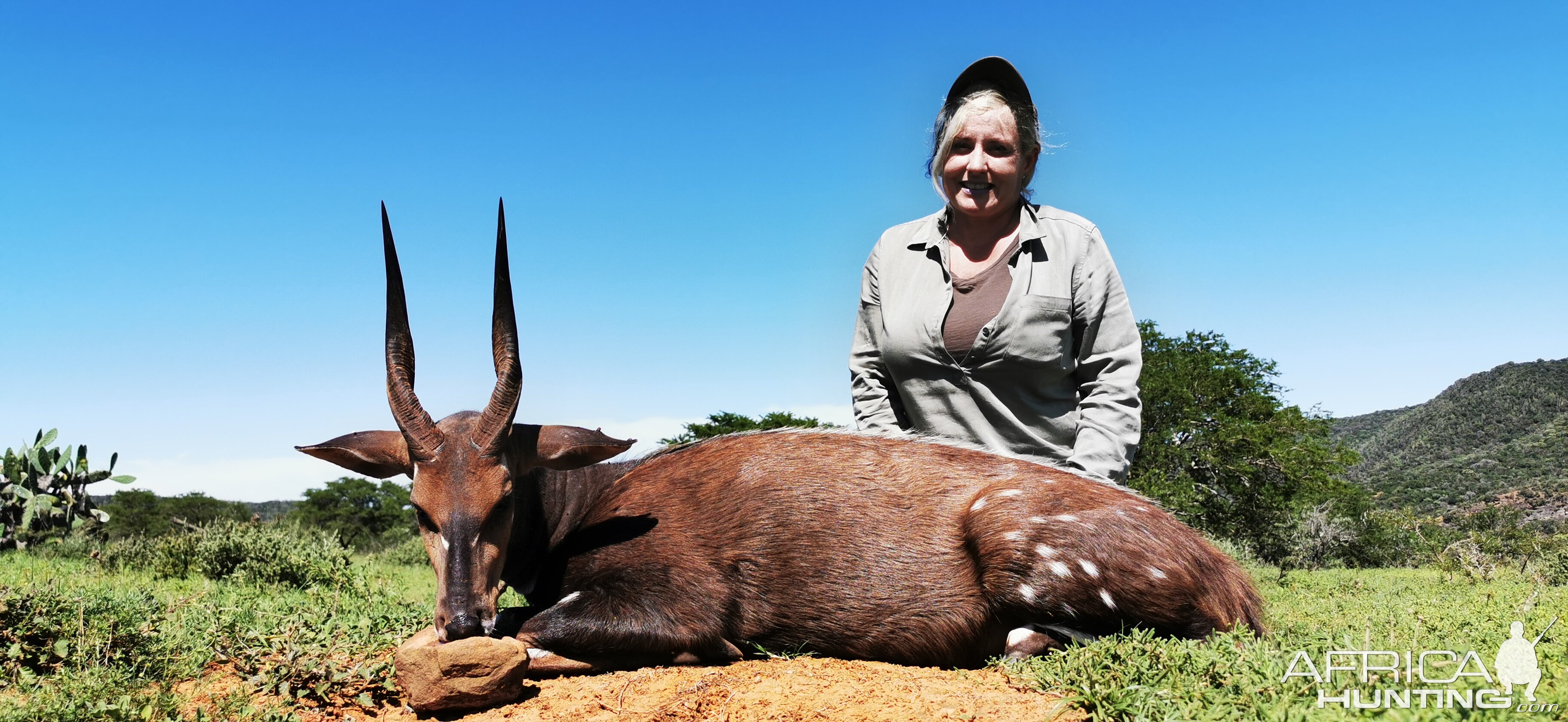 Bushbuck Hunt South Africa