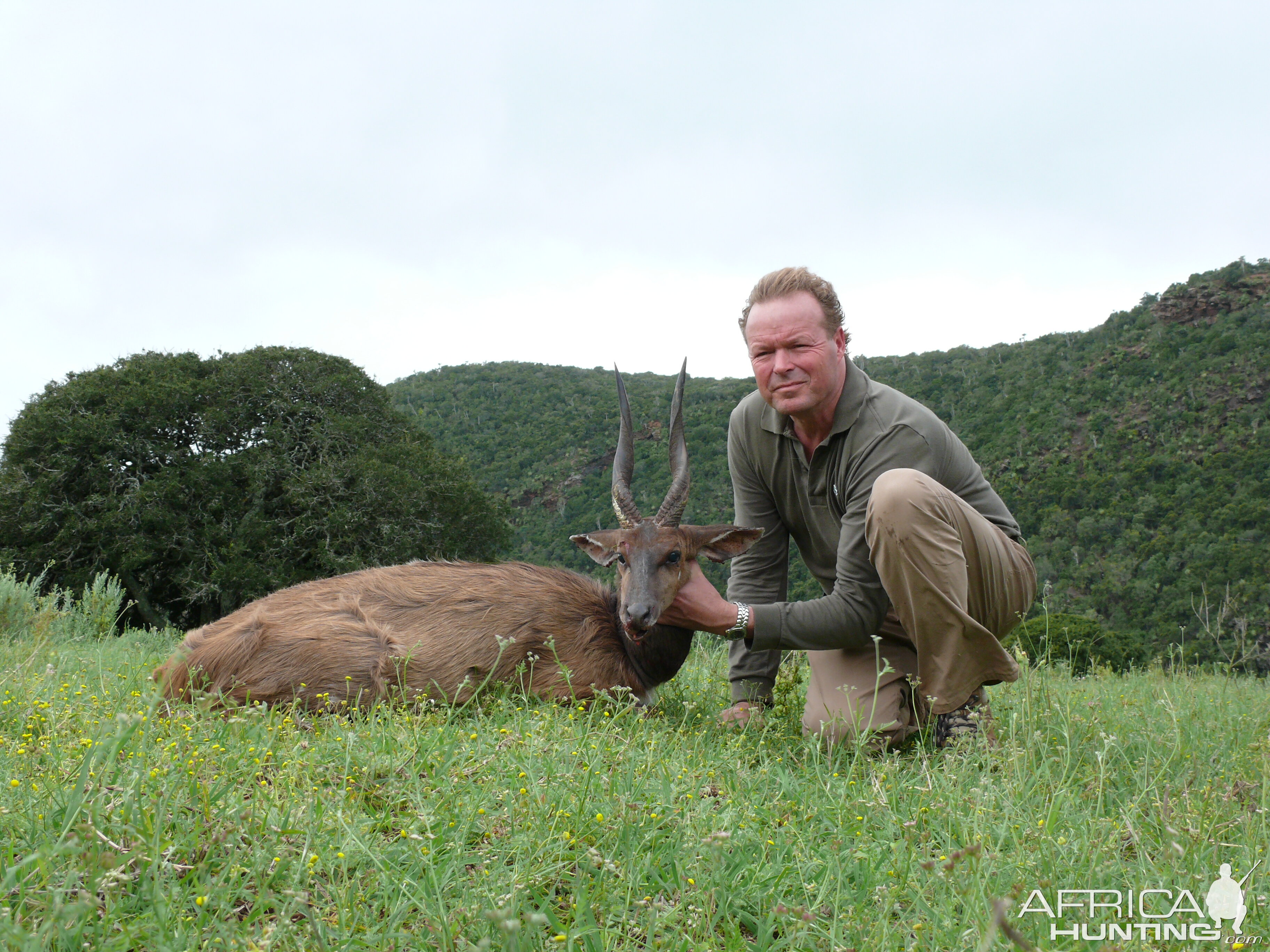 Bushbuck Hunt South Africa