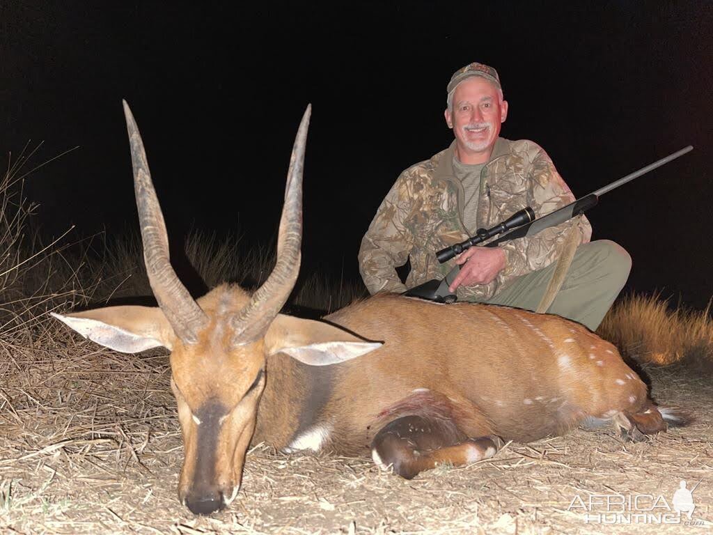 Bushbuck Hunt South Africa